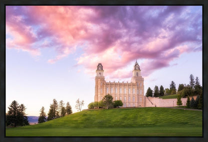 Manti Cotton Candy