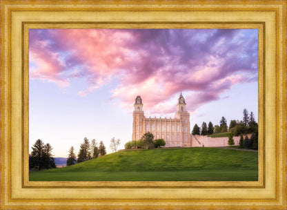Manti Cotton Candy