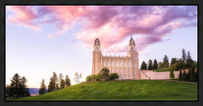 Manti Cotton Candy