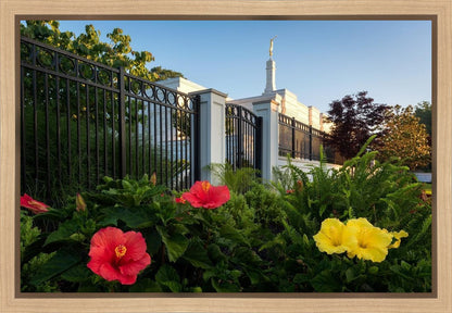 Memphis Flowers
