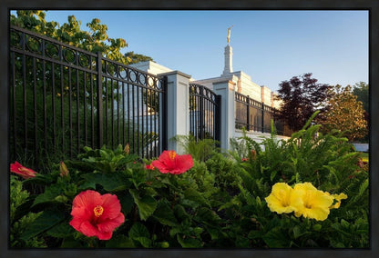 Memphis Flowers