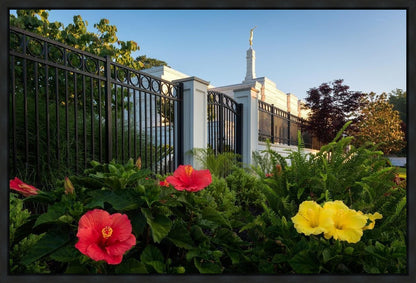 Memphis Flowers