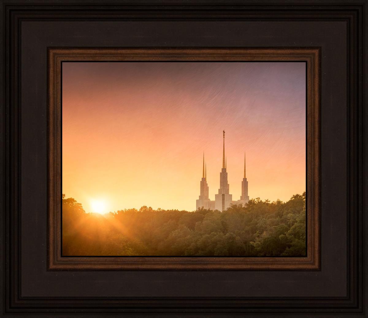 Washington DC Sunset Gold