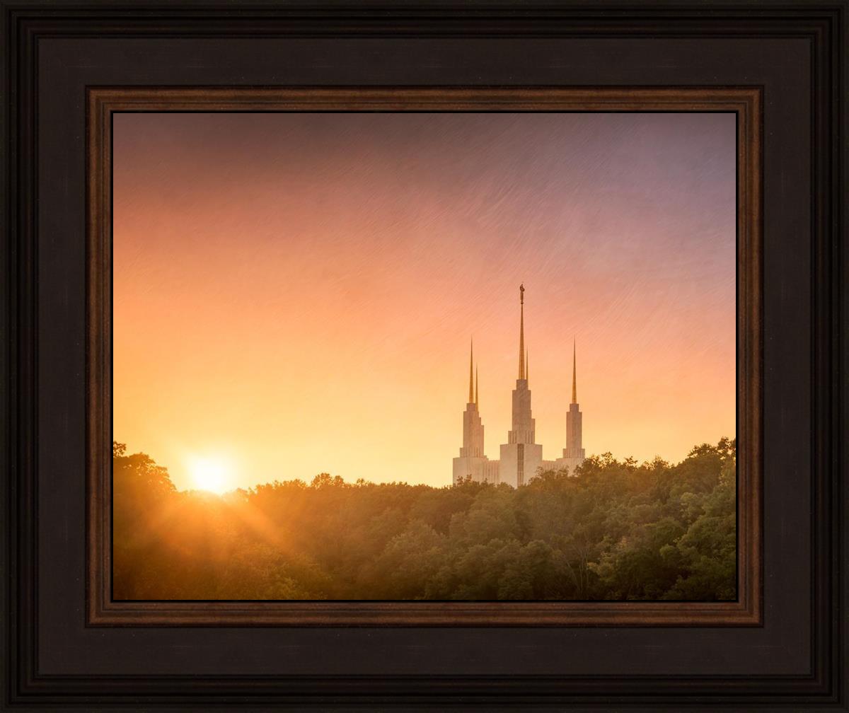 Washington DC Sunset Gold