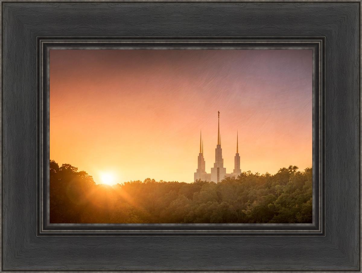 Washington DC Sunset Gold