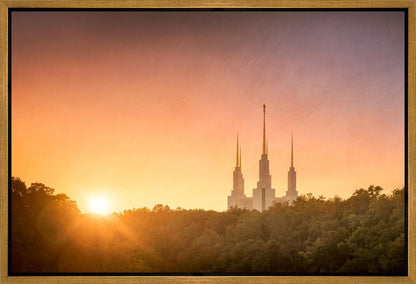 Washington DC Sunset Gold