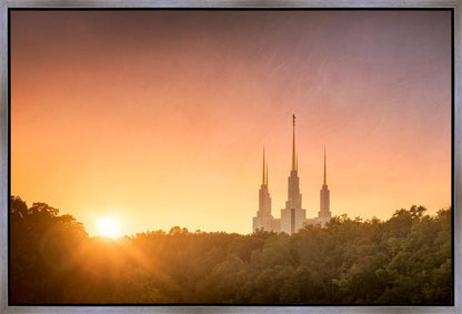 Washington DC Sunset Gold