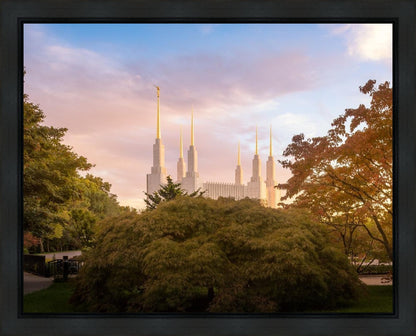 Washington DC Sunset Panorama