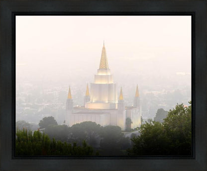 Foggy Oakland
