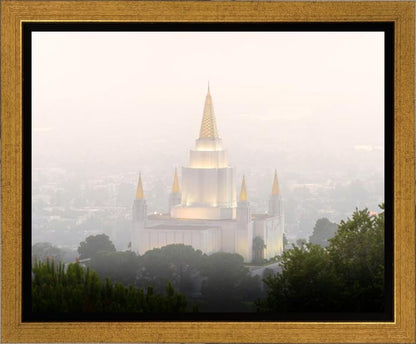 Foggy Oakland