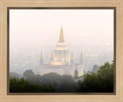 Foggy Oakland