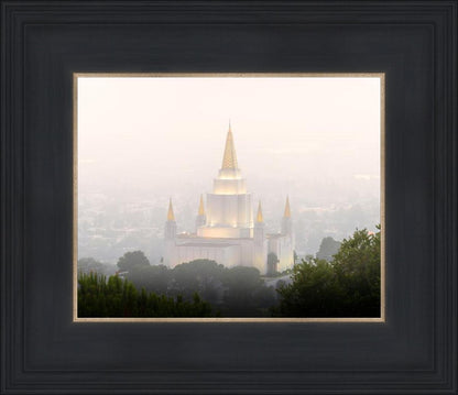 Foggy Oakland