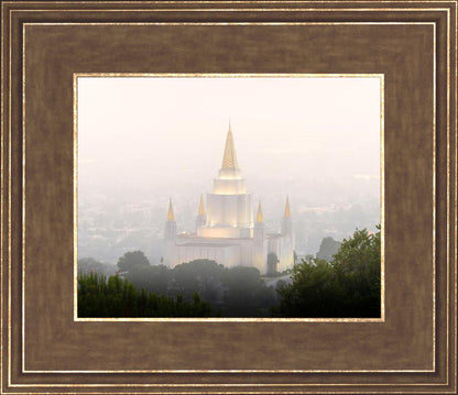 Foggy Oakland