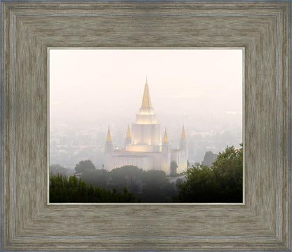 Foggy Oakland