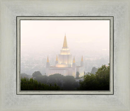 Foggy Oakland