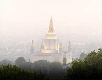 Foggy Oakland