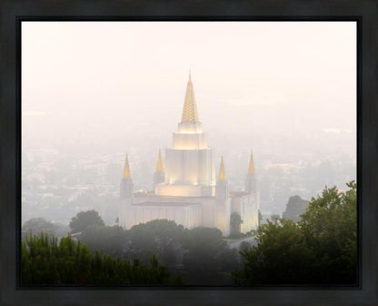 Foggy Oakland