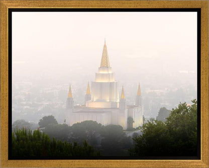 Foggy Oakland