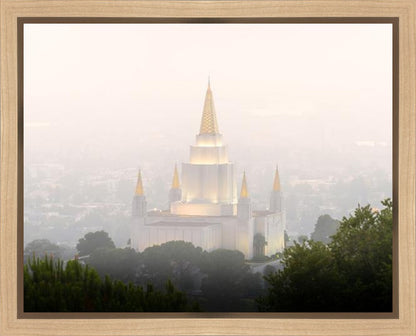Foggy Oakland