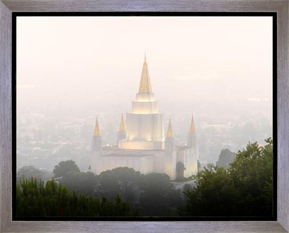 Foggy Oakland