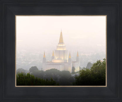 Foggy Oakland