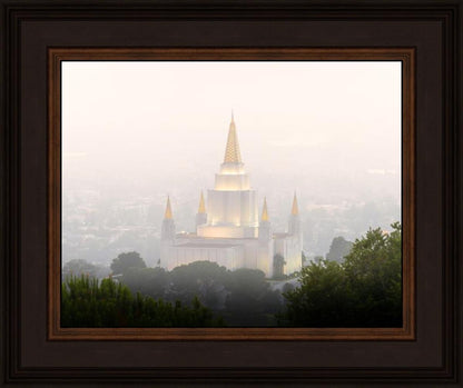 Foggy Oakland