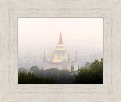 Foggy Oakland