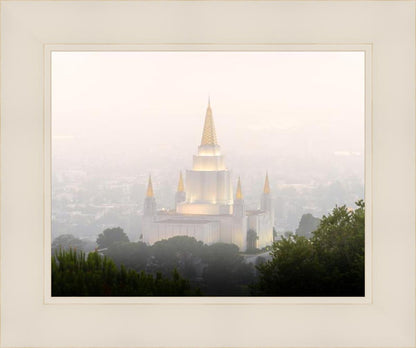 Foggy Oakland