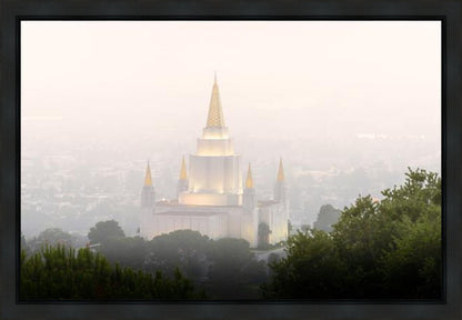Foggy Oakland