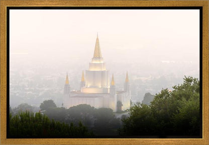 Foggy Oakland
