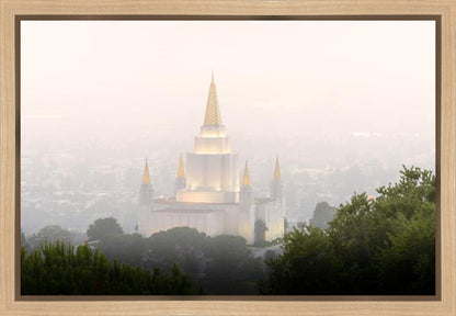 Foggy Oakland