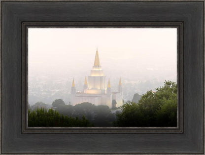 Foggy Oakland