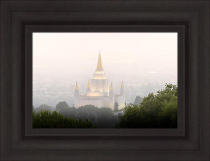 Foggy Oakland