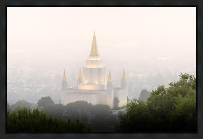 Foggy Oakland