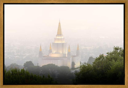 Foggy Oakland