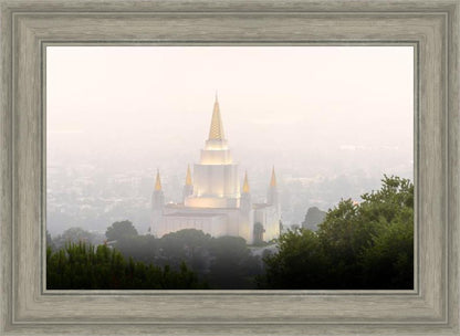 Foggy Oakland