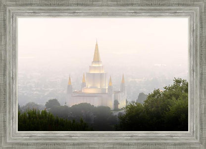 Foggy Oakland