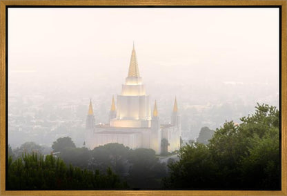 Foggy Oakland
