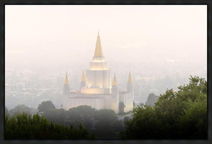 Foggy Oakland