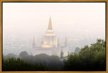Foggy Oakland