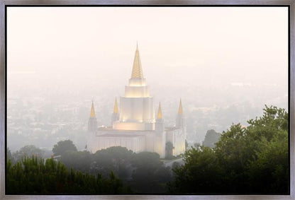 Foggy Oakland
