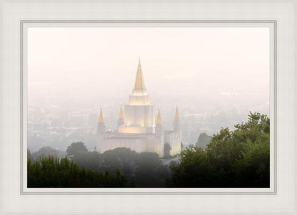 Foggy Oakland