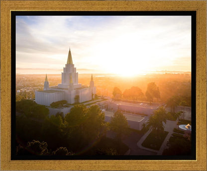 Oakland Sunburst