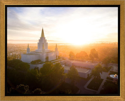 Oakland Sunburst