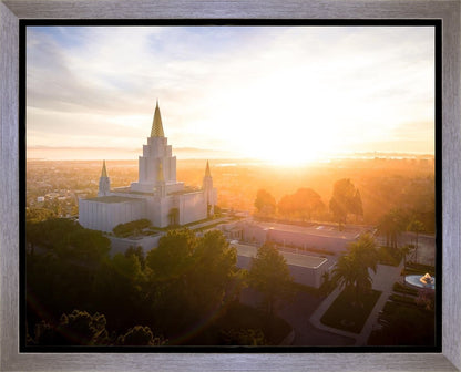 Oakland Sunburst