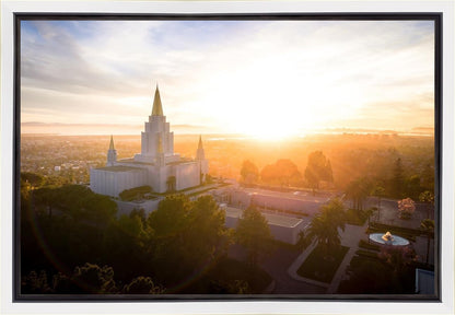 Oakland Sunburst