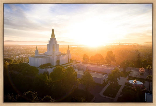 Oakland Sunburst