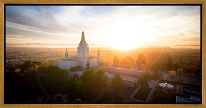 Oakland Sunburst