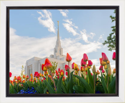 Ogden Flowers