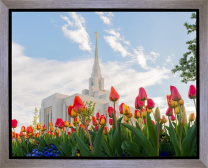 Ogden Flowers